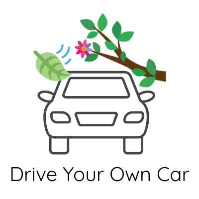 Temporary Car Insurance For Borrowing A Car