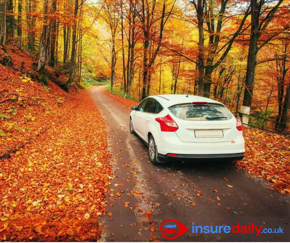 Insurance to borrow a car